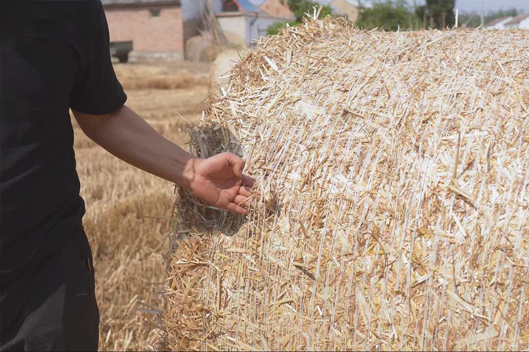 net wrap