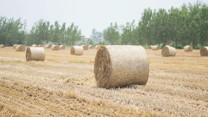 net wrap manufacturers